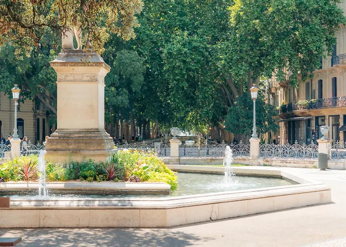 Le Petit Pasteur Yourhosthelper * نيم