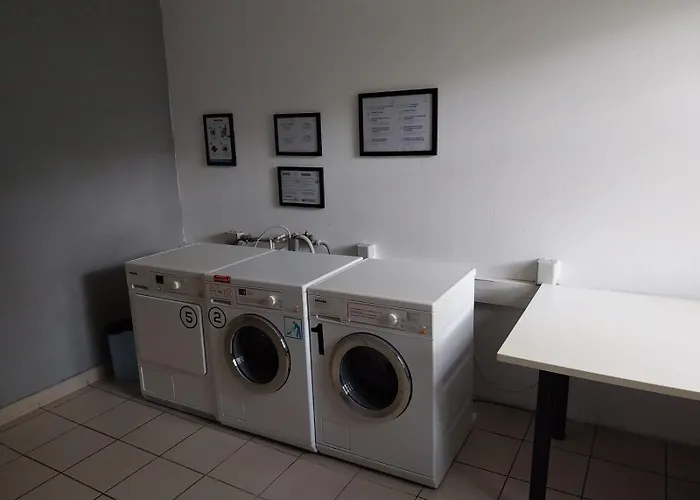 Le Petit Pasteur Yourhosthelper *